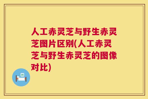 人工赤灵芝与野生赤灵芝图片区别(人工赤灵芝与野生赤灵芝的图像对比) 人工赤灵芝与野生赤灵芝图片区别(人工赤灵芝与野生赤灵芝的图像对比)