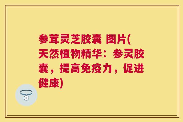 参茸灵芝胶囊 图片(天然植物精华：参灵胶囊，提高免疫力，促进健康)