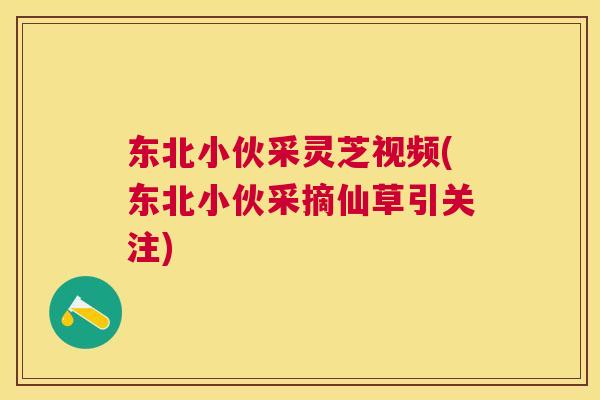 东北小伙采灵芝视频(东北小伙采摘仙草引关注) 东北小伙采灵芝视频(东北小伙采摘仙草引关注)
