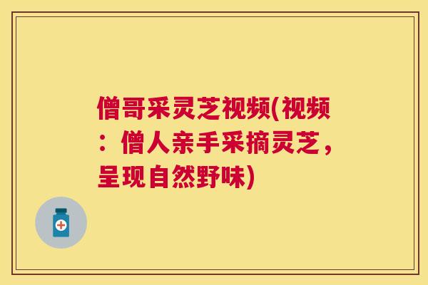 僧哥采灵芝视频(视频：僧人亲手采摘灵芝，呈现自然野味)