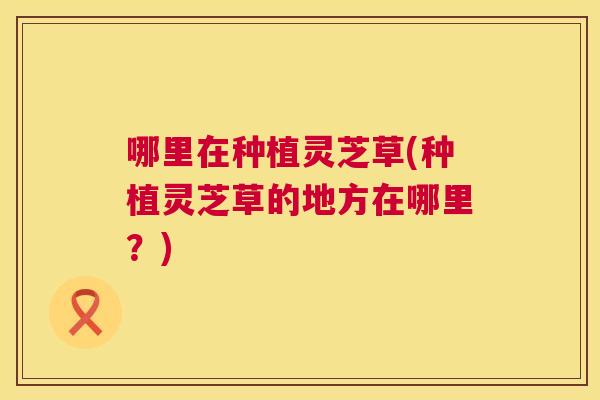 哪里在种植灵芝草(种植灵芝草的地方在哪里?) 哪里在种植灵芝草(种植灵芝草的地方在哪里?)