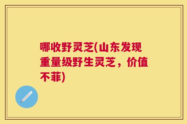 哪收野灵芝(山东发现重量级野生灵芝,价值不菲) 哪收野灵芝(山东发现重量级野生灵芝,价值不菲)