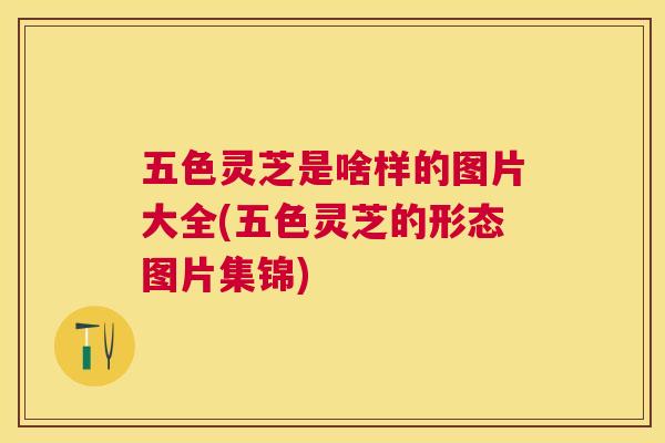 五色灵芝是啥样的图片大全(五色灵芝的形态图片集锦)