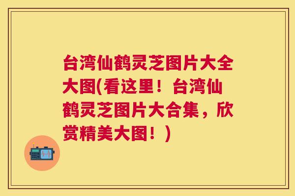 台湾仙鹤灵芝图片大全大图(看这里！台湾仙鹤灵芝图片大合集，欣赏精美大图！)
