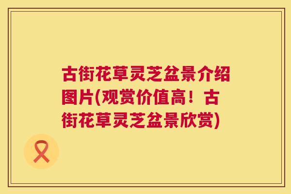 古街花草灵芝盆景介绍图片(观赏价值高！古街花草灵芝盆景欣赏)
