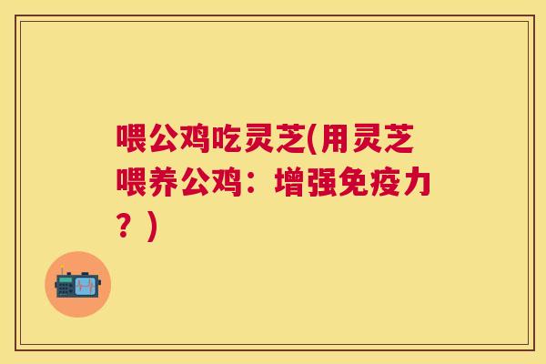 喂公鸡吃灵芝(用灵芝喂养公鸡：增强免疫力？)