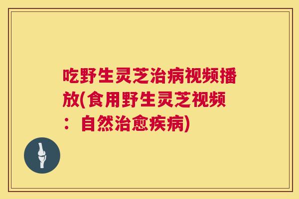 吃野生灵芝视频播放(食用野生灵芝视频:自然愈) 吃野生灵芝视频播放(食用野生灵芝视频:自然愈)