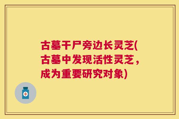 古墓干尸旁边长灵芝(古墓中发现活性灵芝，成为重要研究对象)