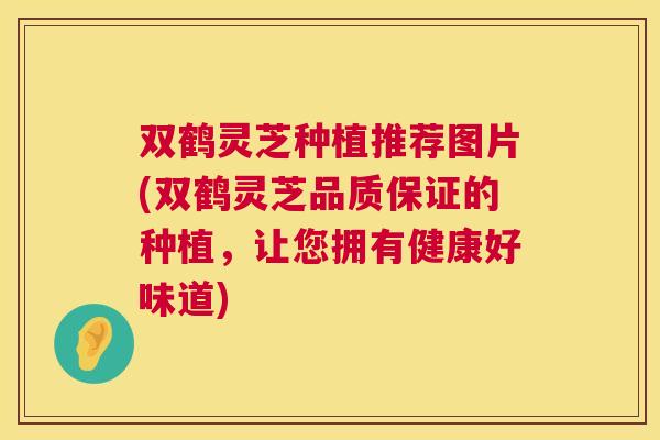 双鹤灵芝种植推荐图片(双鹤灵芝品质保证的种植，让您拥有健康好味道)