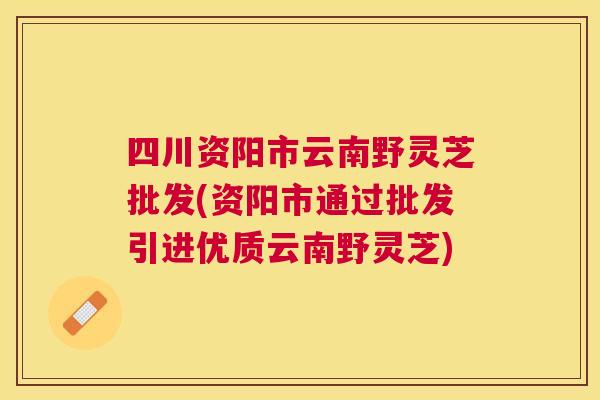 四川资阳市云南野灵芝批发(资阳市通过批发引进优质云南野灵芝) 四川资阳市云南野灵芝批发(资阳市通过批发引进优质云南野灵芝)