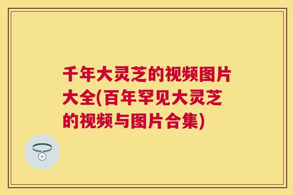 千年大灵芝的视频图片大全(百年罕见大灵芝的视频与图片合集) 千年大灵芝的视频图片大全(百年罕见大灵芝的视频与图片合集)