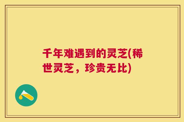 千年难遇到的灵芝(稀世灵芝，珍贵无比)