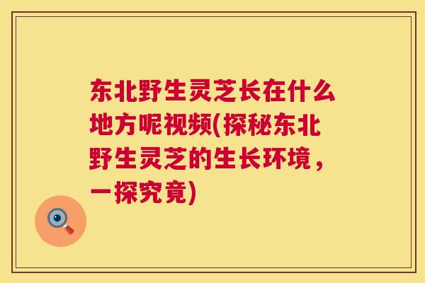 东北野生灵芝长在什么地方呢视频(探秘东北野生灵芝的生长环境,一探究竟) 东北野生灵芝长在什么地方呢视频(探秘东北野生灵芝的生长环境,一探究竟)