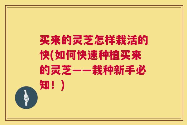 买来的灵芝怎样栽活的快(如何快速种植买来的灵芝——栽种新手必知!) 买来的灵芝怎样栽活的快(如何快速种植买来的灵芝——栽种新手必知!)