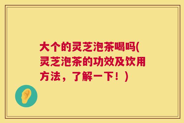 大个的灵芝泡茶喝吗(灵芝泡茶的功效及饮用方法，了解一下！)