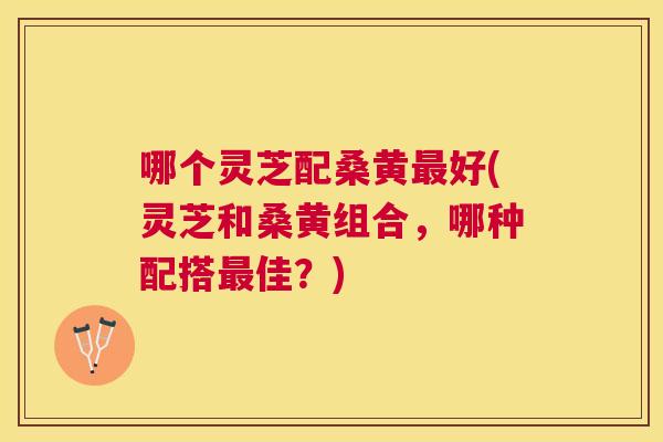 哪个灵芝配桑黄好(灵芝和桑黄组合,哪种配搭佳?) 哪个灵芝配桑黄好(灵芝和桑黄组合,哪种配搭佳?)