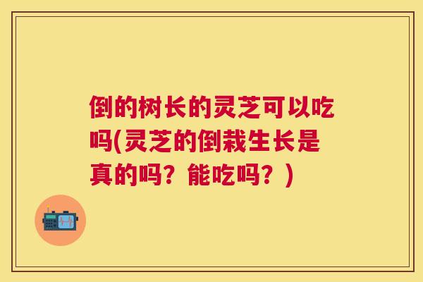 倒的树长的灵芝可以吃吗(灵芝的倒栽生长是真的吗？能吃吗？)