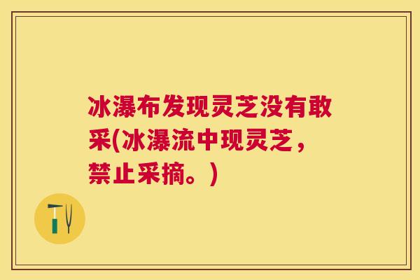 冰瀑布发现灵芝没有敢采(冰瀑流中现灵芝,禁止采摘。) 冰瀑布发现灵芝没有敢采(冰瀑流中现灵芝,禁止采摘。)