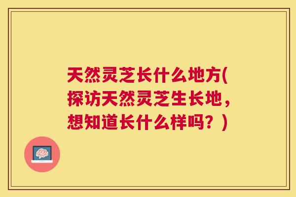 天然灵芝长什么地方(探访天然灵芝生长地,想知道长什么样吗?) 天然灵芝长什么地方(探访天然灵芝生长地,想知道长什么样吗?)