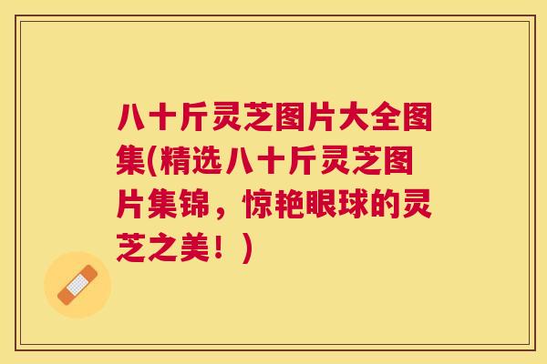 八十斤灵芝图片大全图集(精选八十斤灵芝图片集锦,惊艳眼球的灵芝之美!) 八十斤灵芝图片大全图集(精选八十斤灵芝图片集锦,惊艳眼球的灵芝之美!)