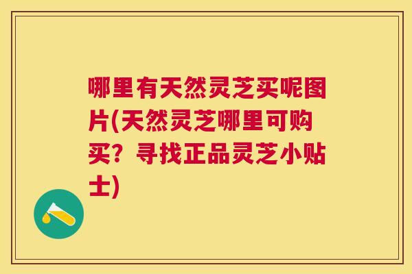 哪里有天然灵芝买呢图片(天然灵芝哪里可购买?寻找正品灵芝小贴士) 哪里有天然灵芝买呢图片(天然灵芝哪里可购买?寻找正品灵芝小贴士)
