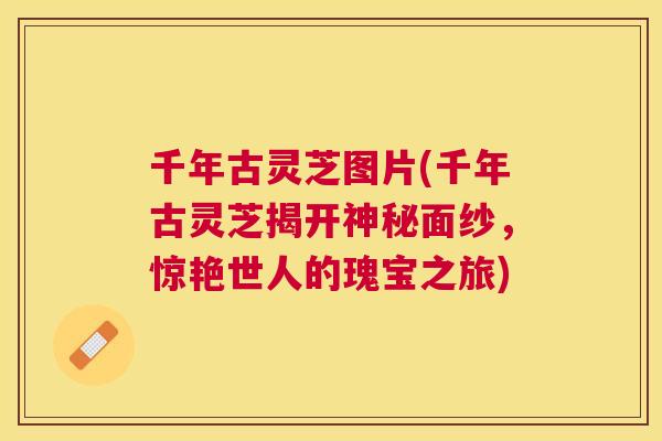 千年古灵芝图片(千年古灵芝揭开神秘面纱,惊艳世人的瑰宝之旅) 千年古灵芝图片(千年古灵芝揭开神秘面纱,惊艳世人的瑰宝之旅)