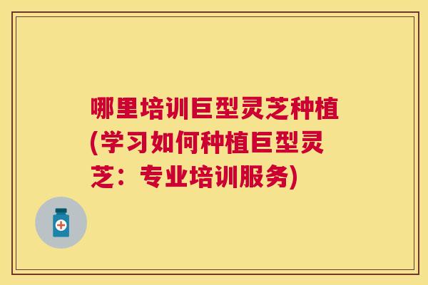 哪里培训巨型灵芝种植(学习如何种植巨型灵芝：专业培训服务)