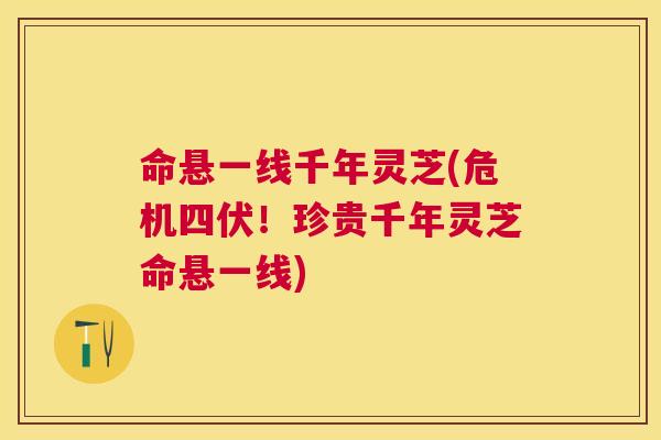 命悬一线千年灵芝(危机四伏!珍贵千年灵芝命悬一线) 命悬一线千年灵芝(危机四伏!珍贵千年灵芝命悬一线)