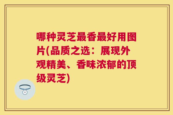 哪种灵芝香好用图片(品质之选:展现外观精美、香味浓郁的灵芝) 哪种灵芝香好用图片(品质之选:展现外观精美、香味浓郁的灵芝)