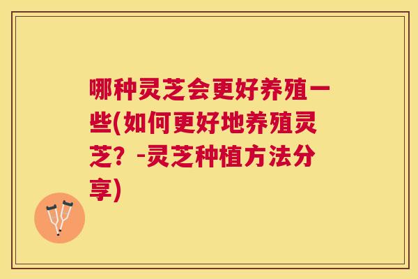 哪种灵芝会更好养殖一些(如何更好地养殖灵芝？-灵芝种植方法分享)