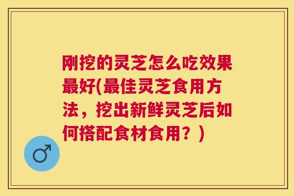 刚挖的灵芝怎么吃效果好(佳灵芝食用方法,挖出新鲜灵芝后如何搭配食材食用?) 刚挖的灵芝怎么吃效果好(佳灵芝食用方法,挖出新鲜灵芝后如何搭配食材食用?)