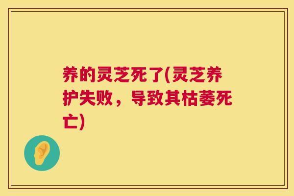 养的灵芝死了(灵芝养护失败，导致其枯萎死亡)