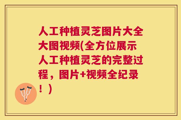人工种植灵芝图片大全大图视频(全方位展示人工种植灵芝的完整过程,图片+视频全纪录!) 人工种植灵芝图片大全大图视频(全方位展示人工种植灵芝的完整过程,图片+视频全纪录!)