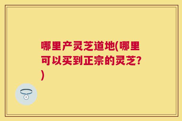 哪里产灵芝道地(哪里可以买到正宗的灵芝？)