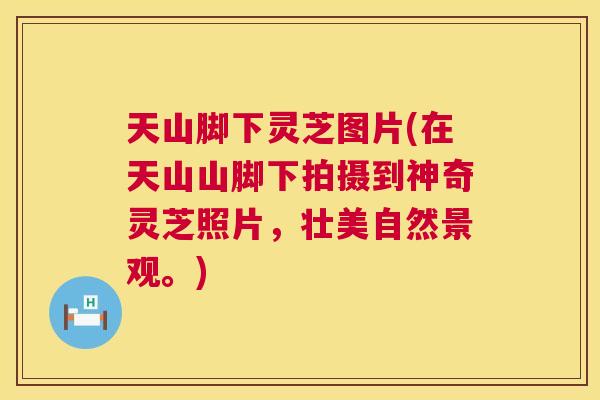 天山脚下灵芝图片(在天山山脚下拍摄到神奇灵芝照片，壮美自然景观。)