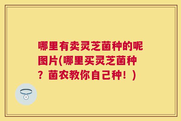 哪里有卖灵芝菌种的呢图片(哪里买灵芝菌种？菌农教你自己种！)