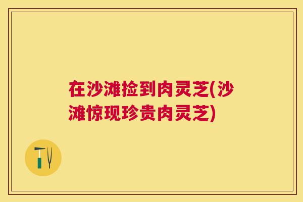 在沙滩捡到肉灵芝(沙滩惊现珍贵肉灵芝) 在沙滩捡到肉灵芝(沙滩惊现珍贵肉灵芝)