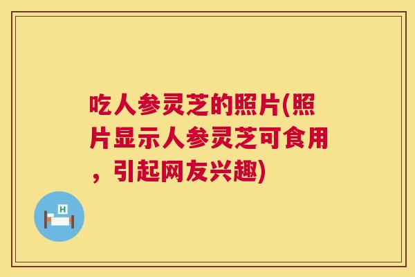 吃人参灵芝的照片(照片显示人参灵芝可食用，引起网友兴趣)