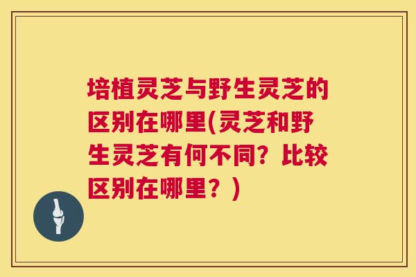 培植灵芝与野生灵芝的区别在哪里(灵芝和野生灵芝有何不同?比较区别在哪里?) 培植灵芝与野生灵芝的区别在哪里(灵芝和野生灵芝有何不同?比较区别在哪里?)