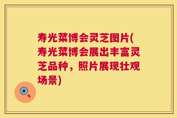寿光菜博会灵芝图片(寿光菜博会展出丰富灵芝品种,照片展现壮观场景) 寿光菜博会灵芝图片(寿光菜博会展出丰富灵芝品种,照片展现壮观场景)