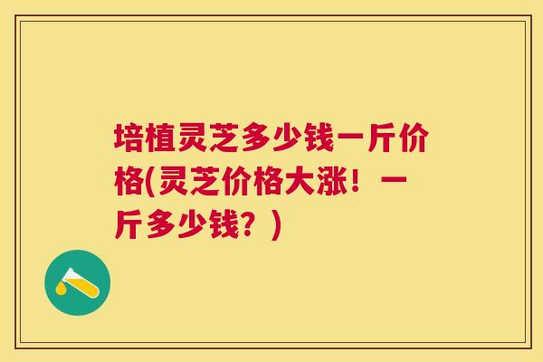 培植灵芝多少钱一斤价格(灵芝价格大涨!一斤多少钱?) 培植灵芝多少钱一斤价格(灵芝价格大涨!一斤多少钱?)