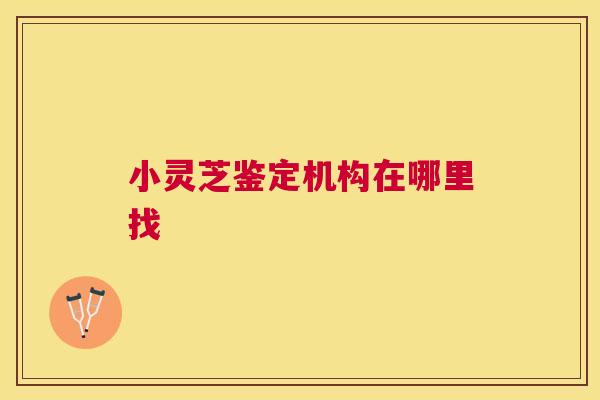 小灵芝鉴定机构在哪里找 小灵芝鉴定机构在哪里找