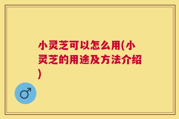 小灵芝可以怎么用(小灵芝的用途及方法介绍)