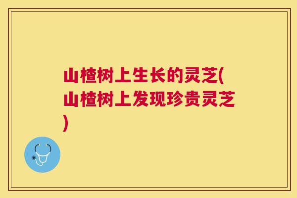 山楂树上生长的灵芝(山楂树上发现珍贵灵芝)