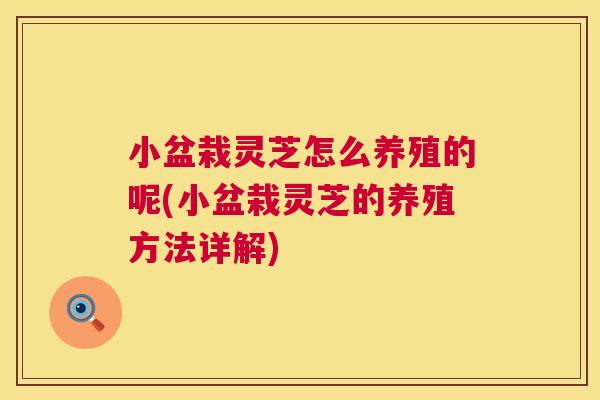 小盆栽灵芝怎么养殖的呢(小盆栽灵芝的养殖方法详解)