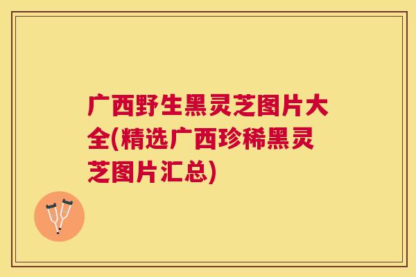广西野生黑灵芝图片大全(精选广西珍稀黑灵芝图片汇总)