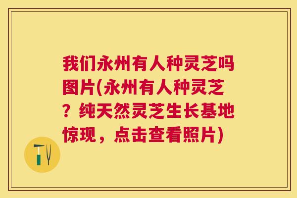 我们永州有人种灵芝吗图片(永州有人种灵芝？纯天然灵芝生长基地惊现，点击查看照片)
