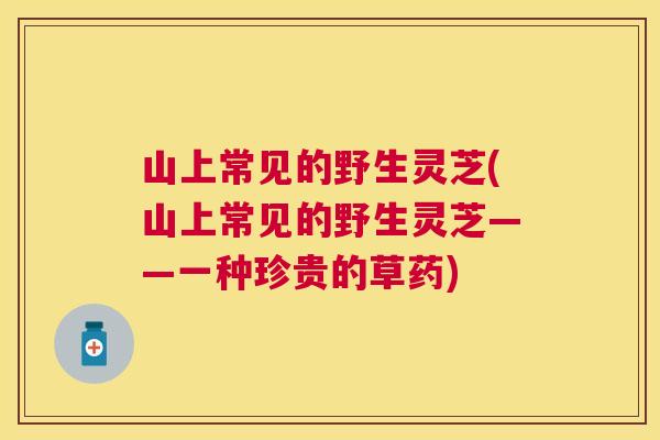 山上常见的野生灵芝(山上常见的野生灵芝——一种珍贵的草药)
