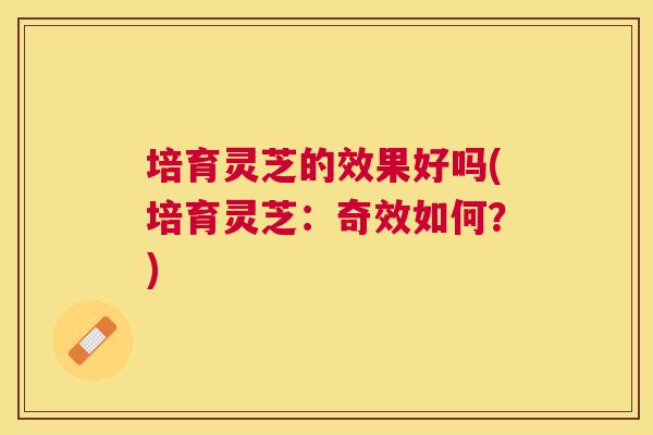 培育灵芝的效果好吗(培育灵芝:奇效如何?) 培育灵芝的效果好吗(培育灵芝:奇效如何?)