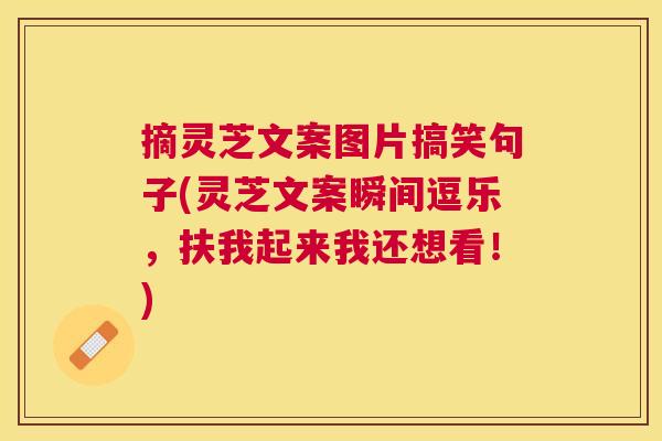 摘灵芝文案图片搞笑句子(灵芝文案瞬间逗乐,扶我起来我还想看!) 摘灵芝文案图片搞笑句子(灵芝文案瞬间逗乐,扶我起来我还想看!)